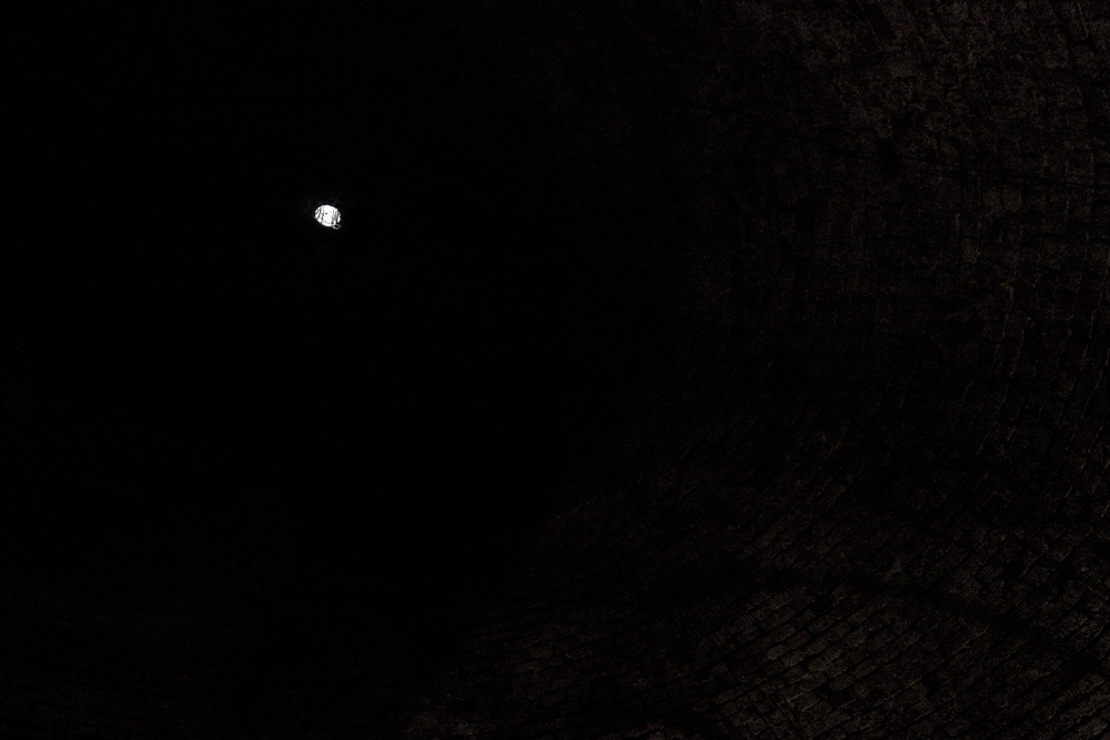 Illumination, Christian Skjødt Hasselstrøm, SKAN II, Skaņu Mežs, Botanical Garden of the University of Latvia, Riga